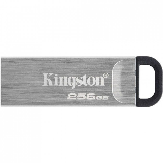 Флешка KINGSTON 256GB DTKN/256GB