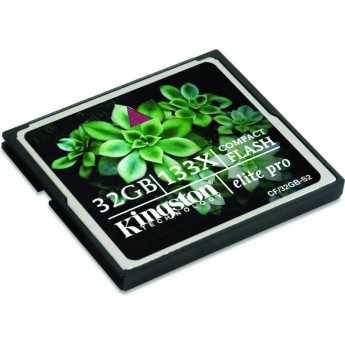 Карта памяти KINGSTON 16GB CF-16GB-S2 Карта памяти KINGSTON 16GB CF-16GB-S2